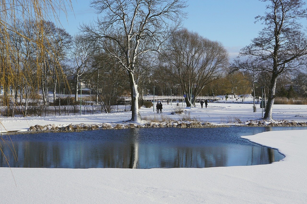 lake, lagoon, snow-8545781.jpg