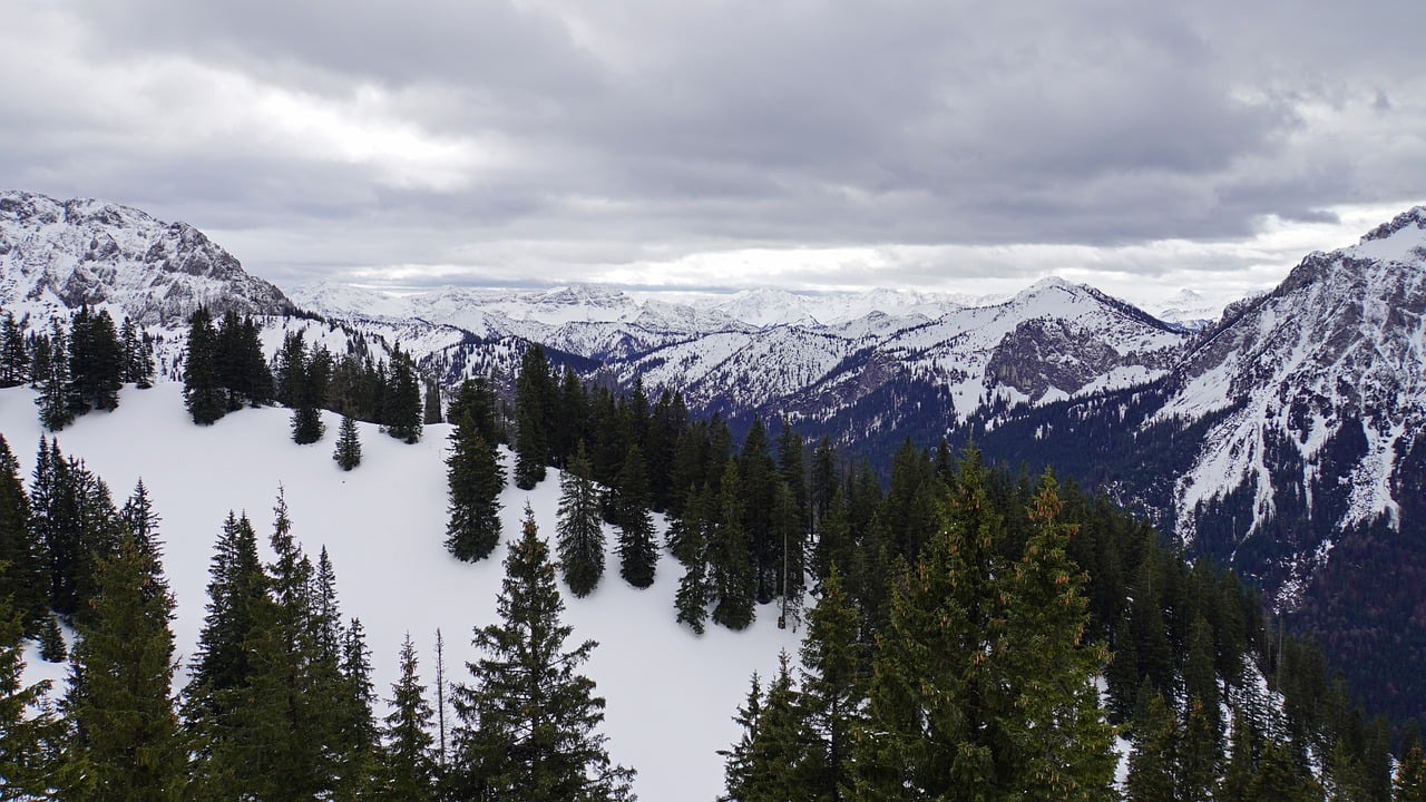 mountains, fir trees, summit-8544349.jpg